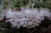 DSCN3184 - (c) K Eutebach.jpg